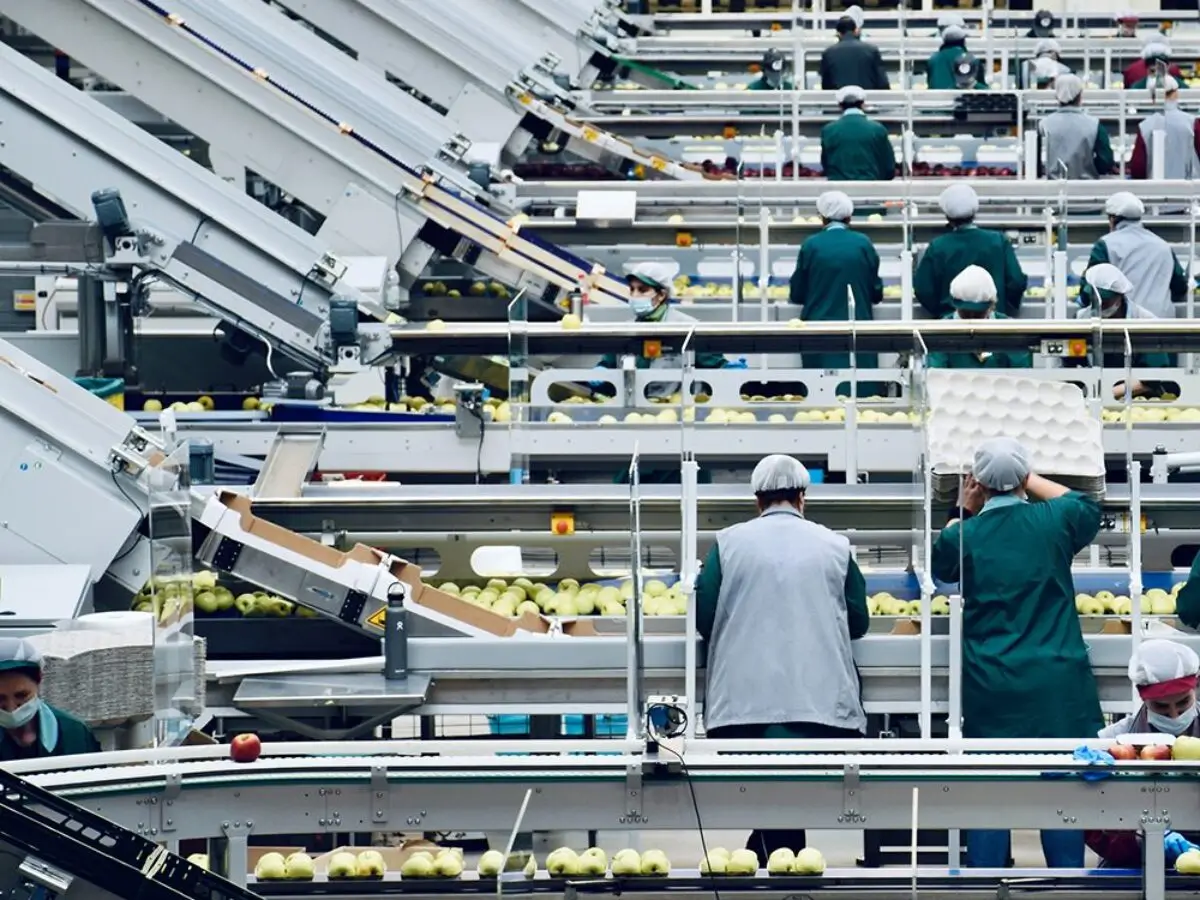 Food Manufacturer